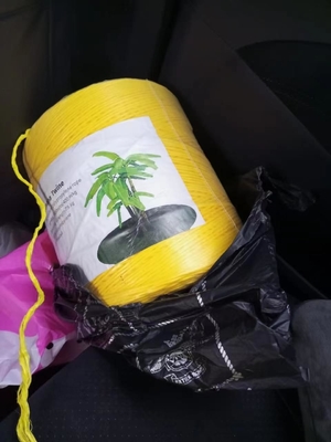 22500 Denier Black Banana Twine Virgin PP Material Twisted and UV Protection 4KG Roll