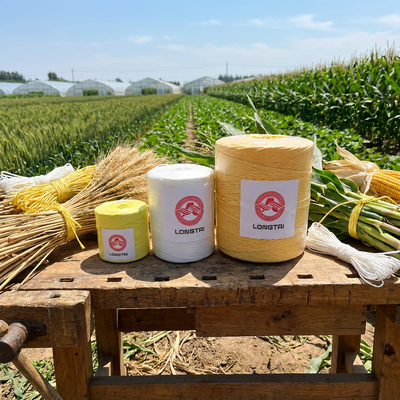UV Resistant Baler Twine Hay Straw Baling PP Twine