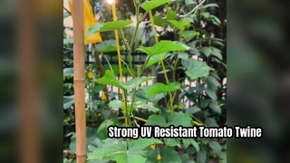 Fio de amarração de tomate resistente a UV para forte suporte de plantas