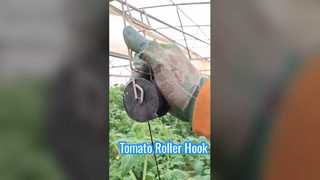 Gancho Rolo de Tomate