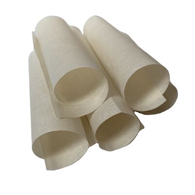 Resistência ao isolamento 1,12 vezes 10 elevado à potência de 14 ohms Papel de isolamento de motor projetado para resistir ao calor até 300 graus Celsius